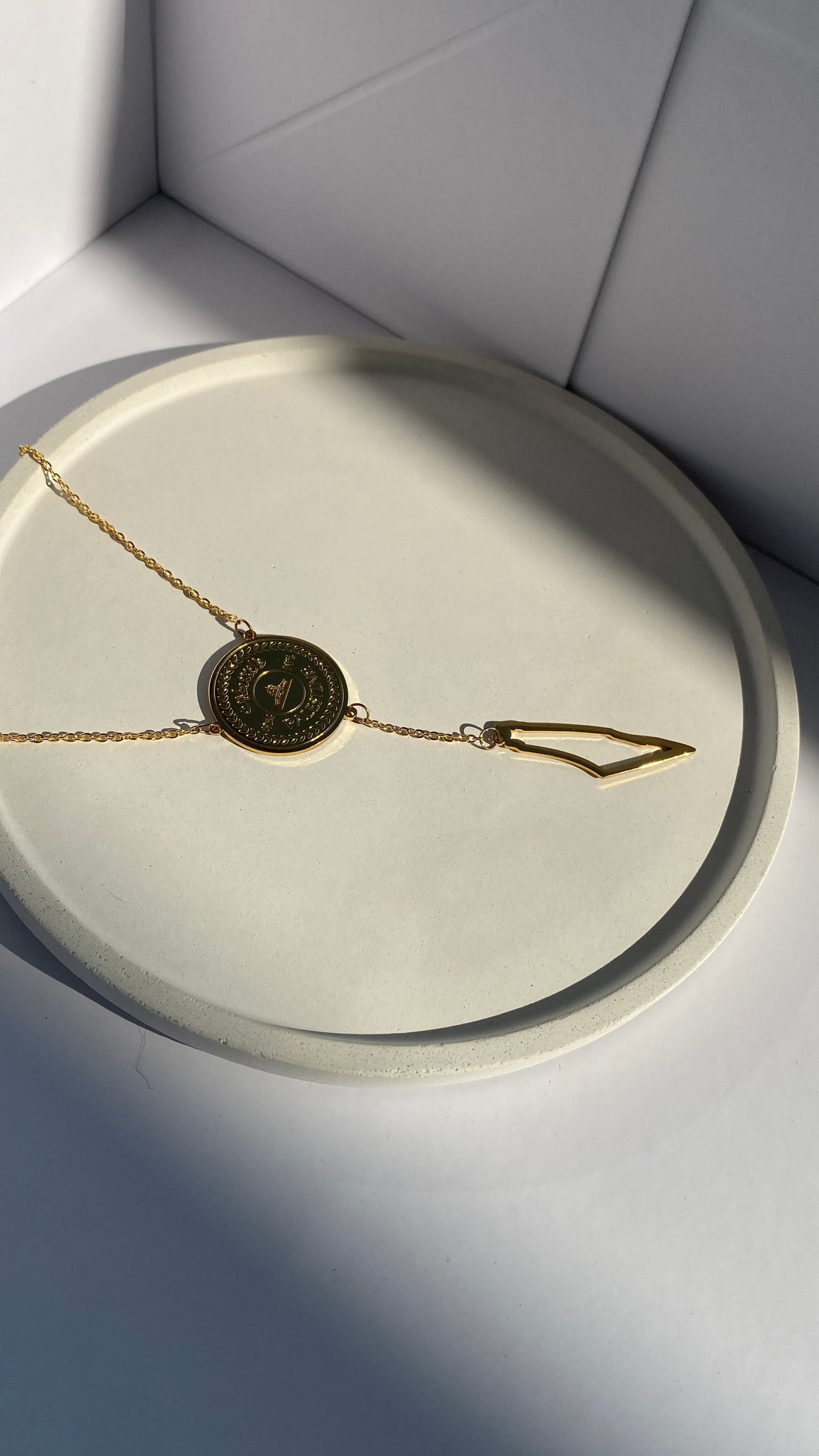 Palestine necklace "coin and map outline" Double layered in Gold